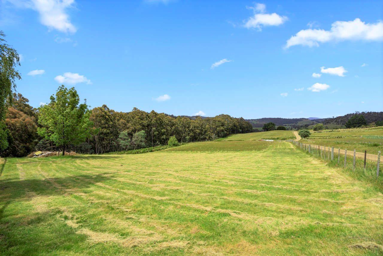 158 Rayners Hill Road ELLENDALE 24