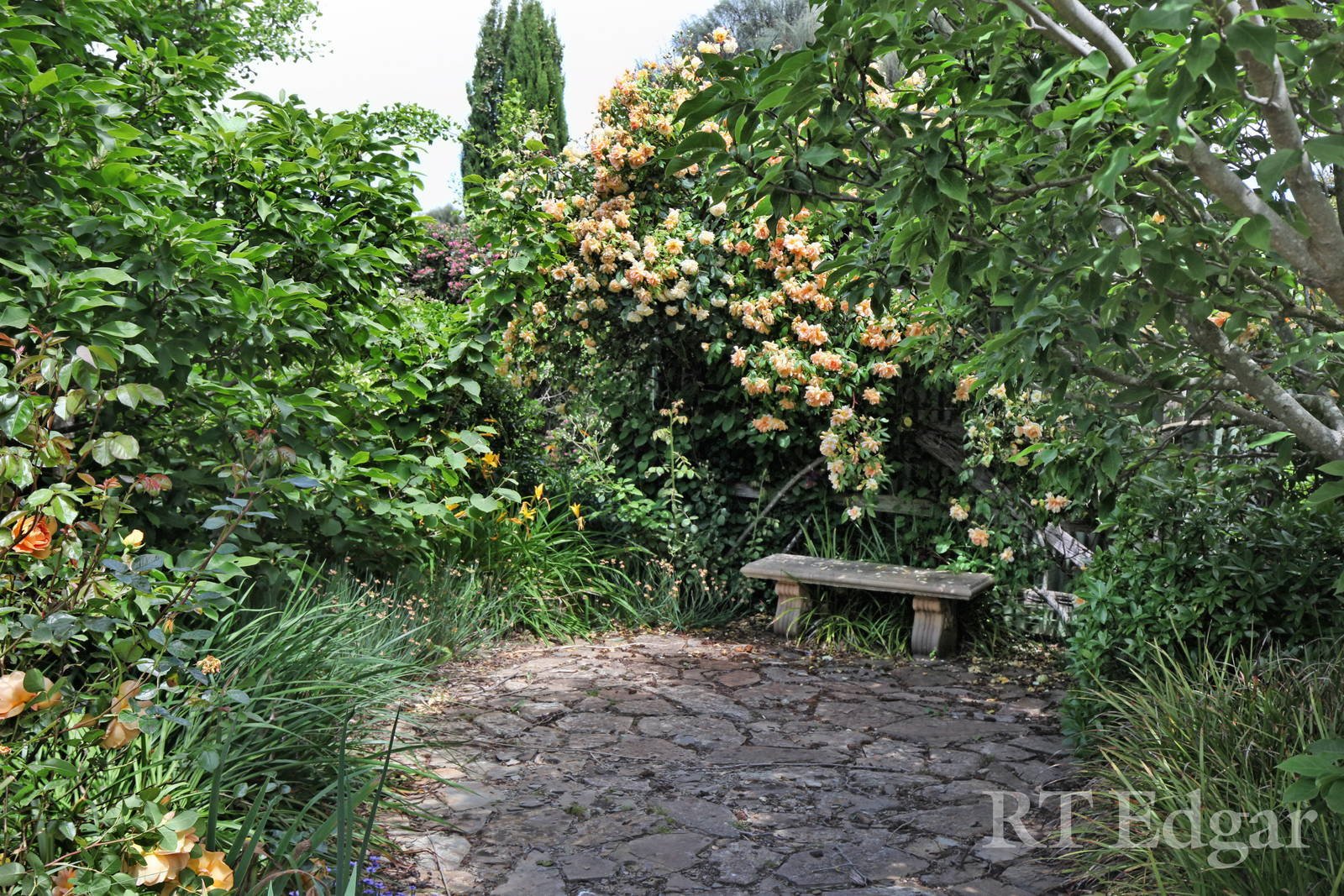 Real Estate and Property in 159 Dons Road, Newham, VIC