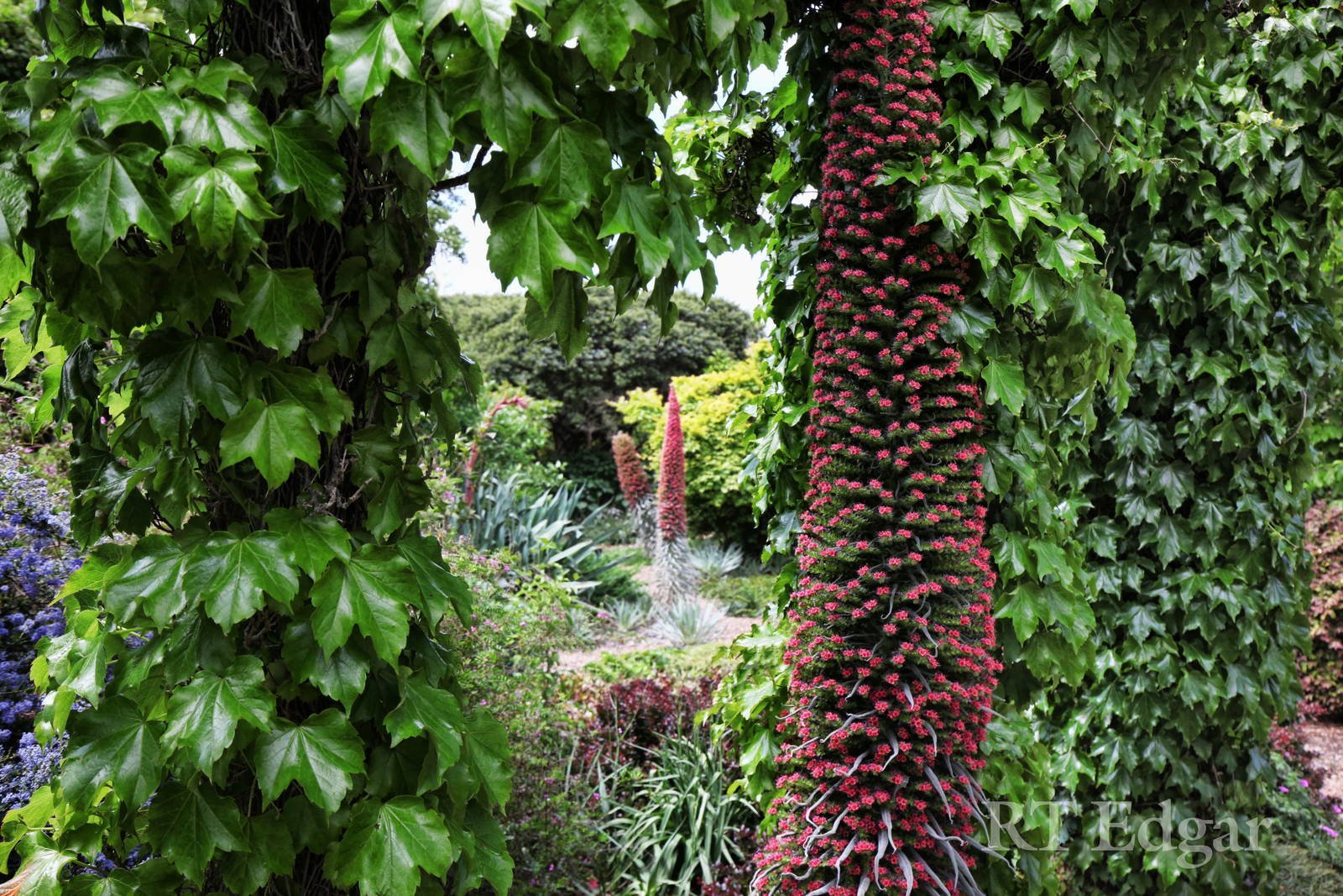 Real Estate and Property in 159 Dons Road, Newham, VIC