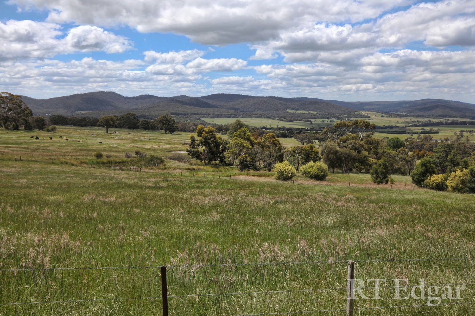 Real Estate and Property in 159 Dons Road, Newham, VIC