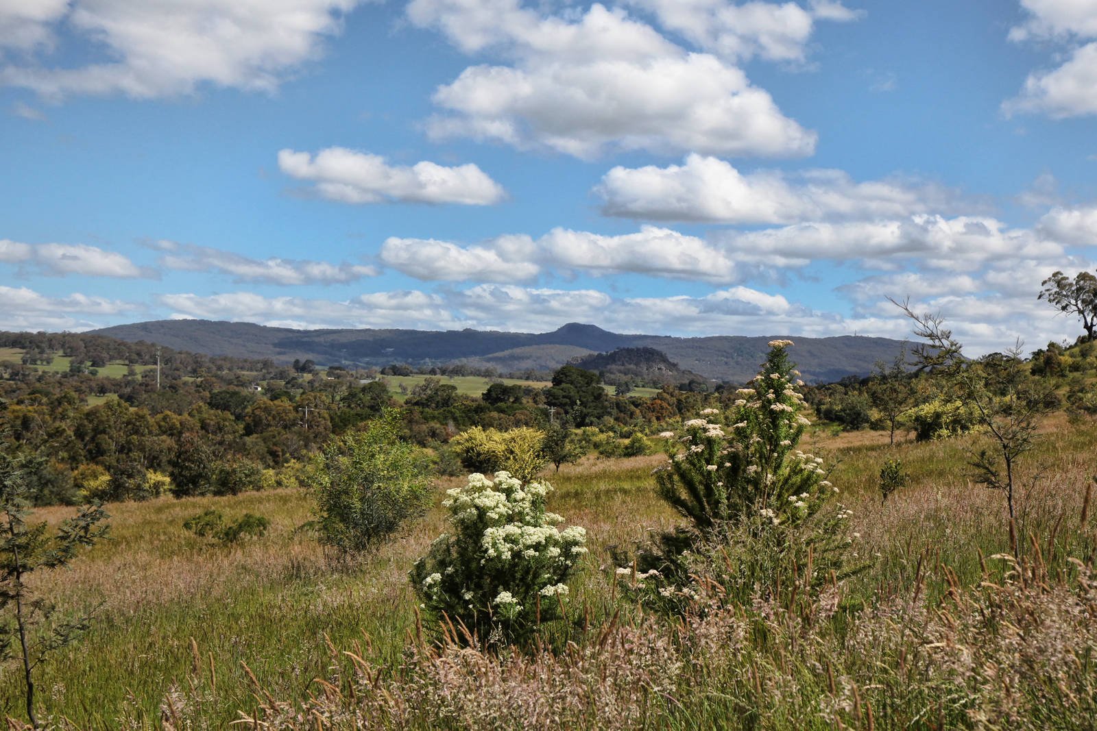 Real Estate and Property in 159 Dons Road, Newham, VIC