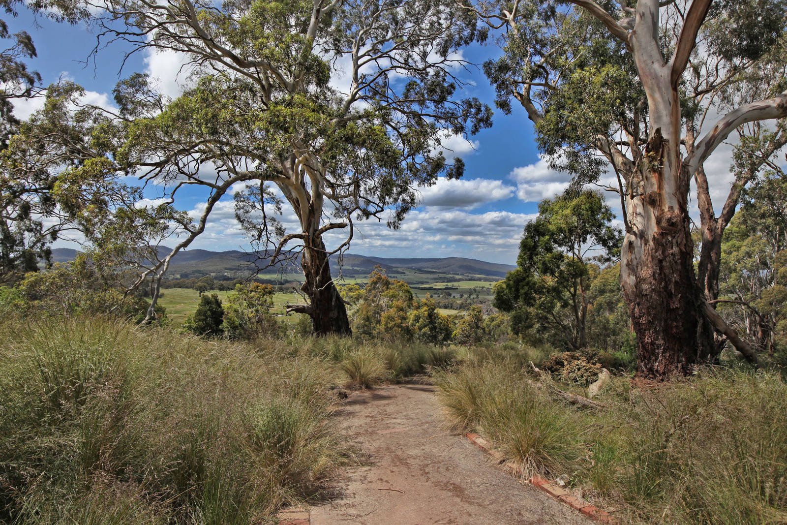 Real Estate and Property in 159 Dons Road, Newham, VIC