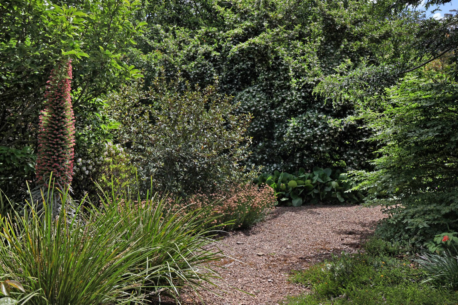 Real Estate and Property in 159 Dons Road, Newham, VIC