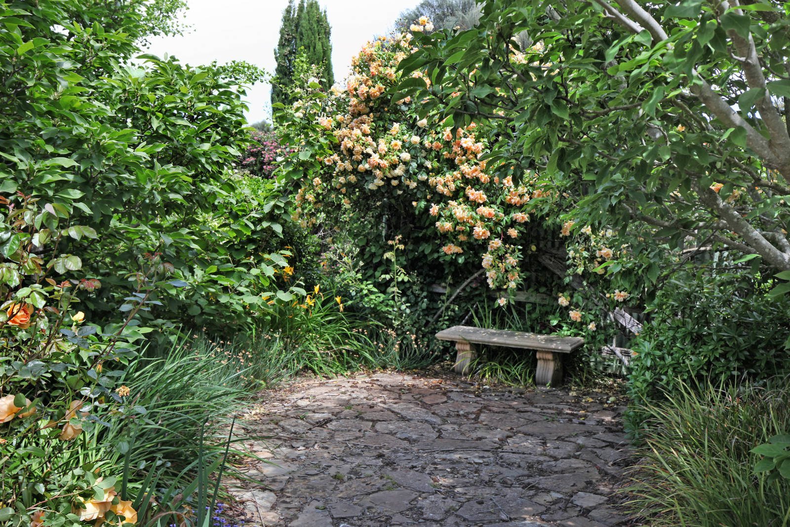 Real Estate and Property in 159 Dons Road, Newham, VIC