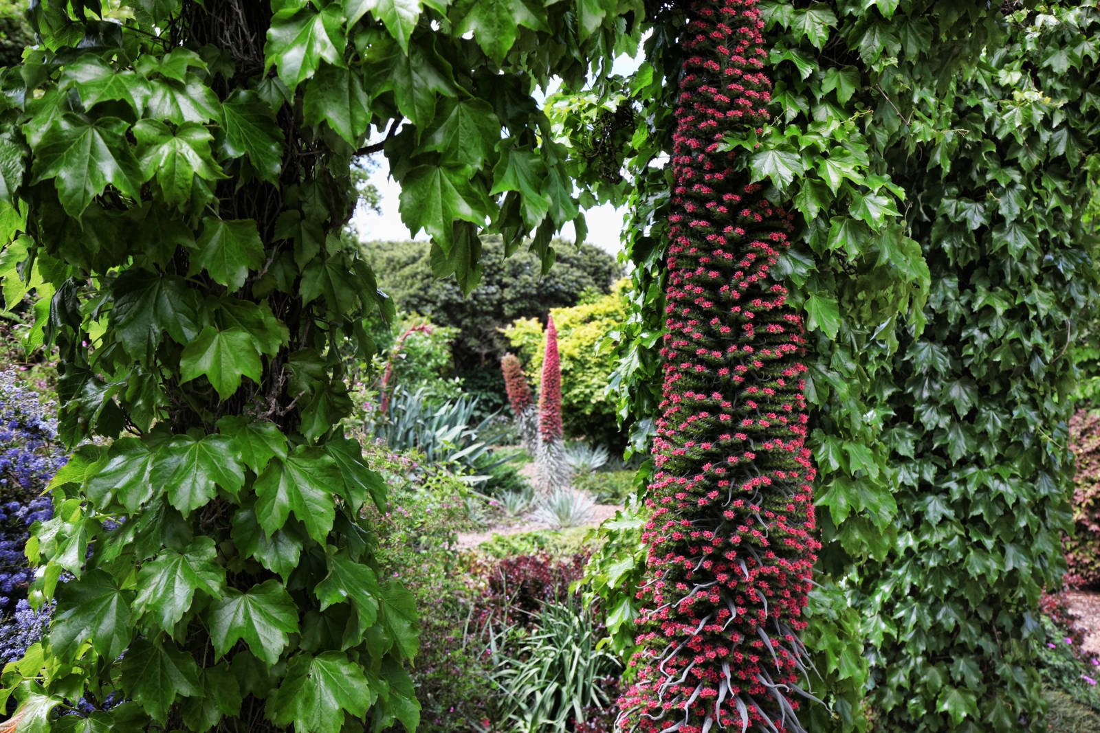 Real Estate and Property in 159 Dons Road, Newham, VIC