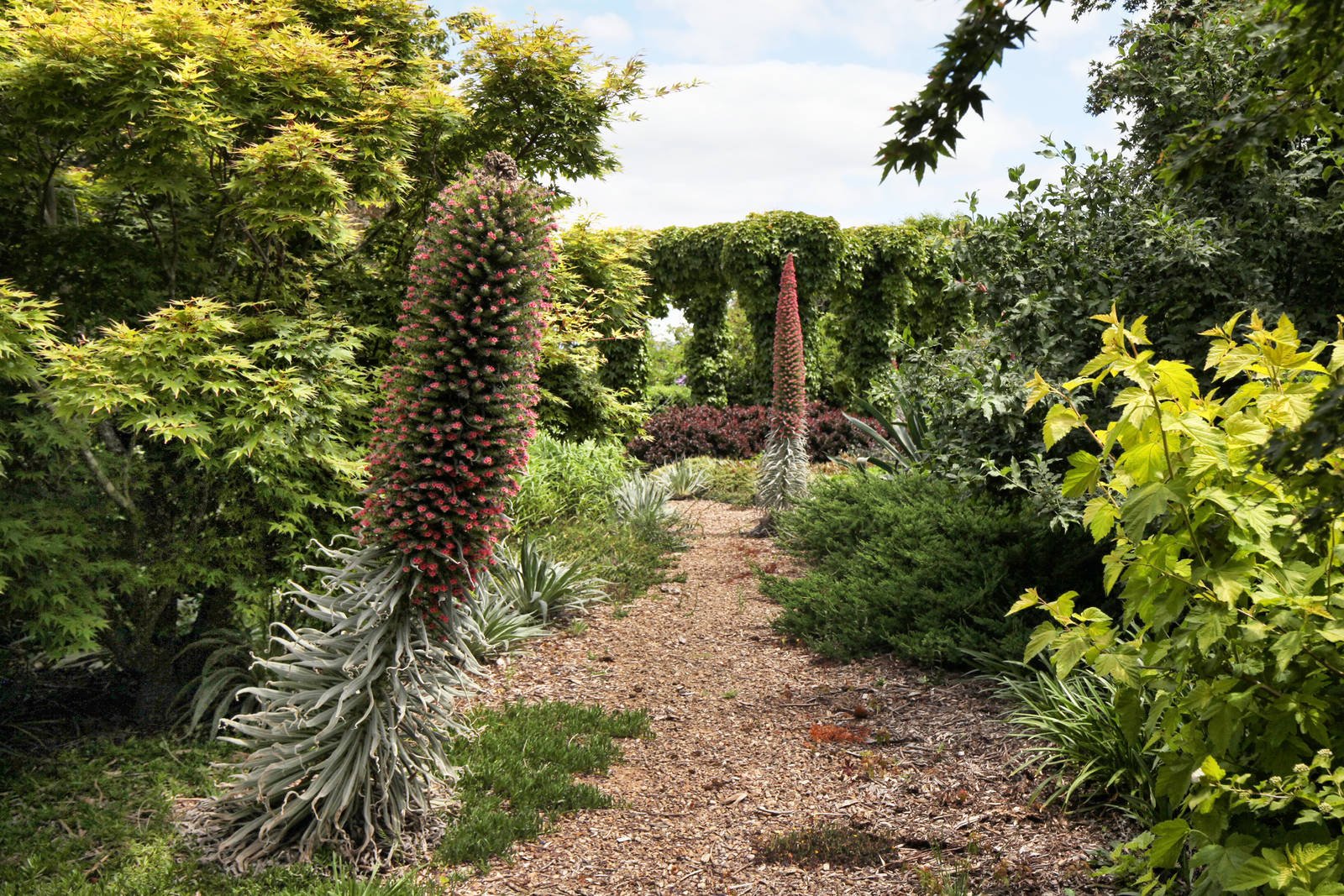 Real Estate and Property in 159 Dons Road, Newham, VIC