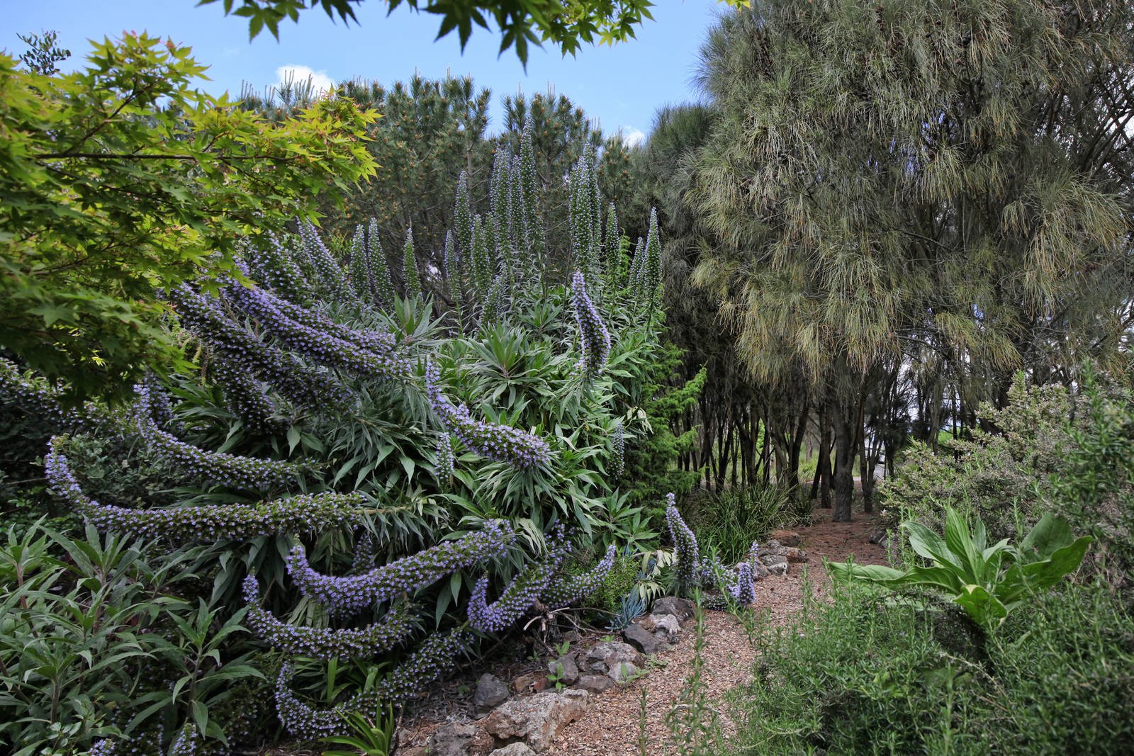 Real Estate and Property in 159 Dons Road, Newham, VIC