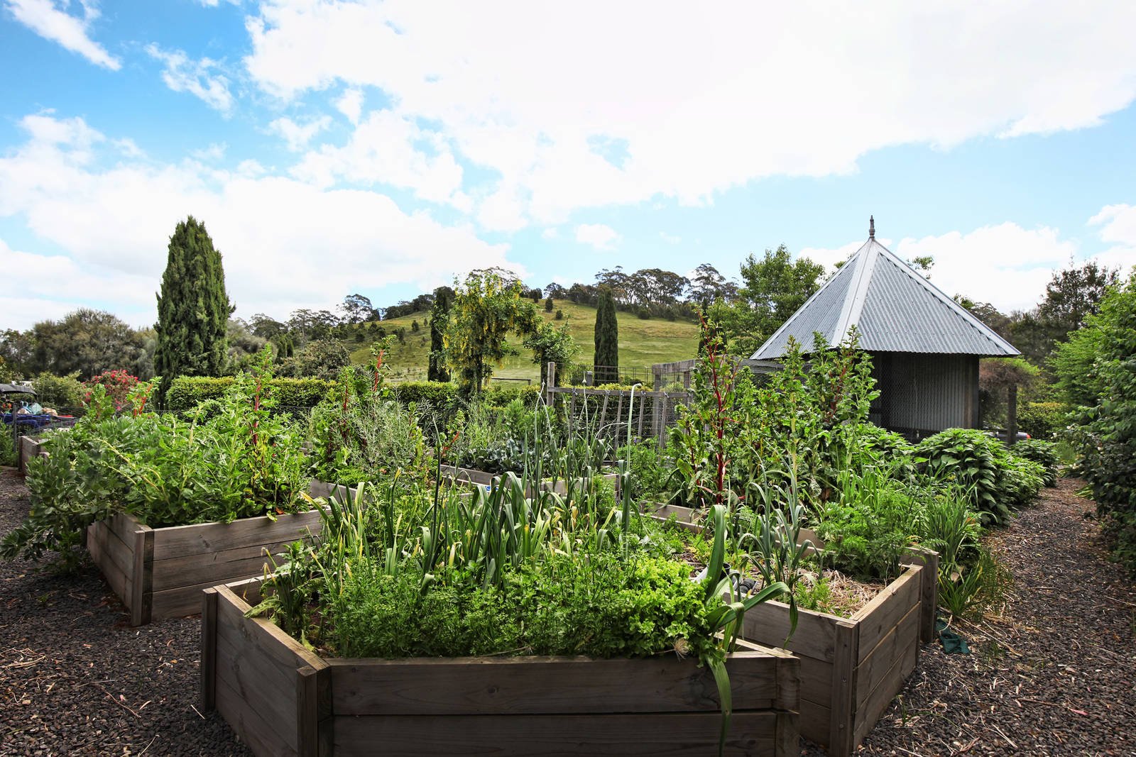 Real Estate and Property in 159 Dons Road, Newham, VIC