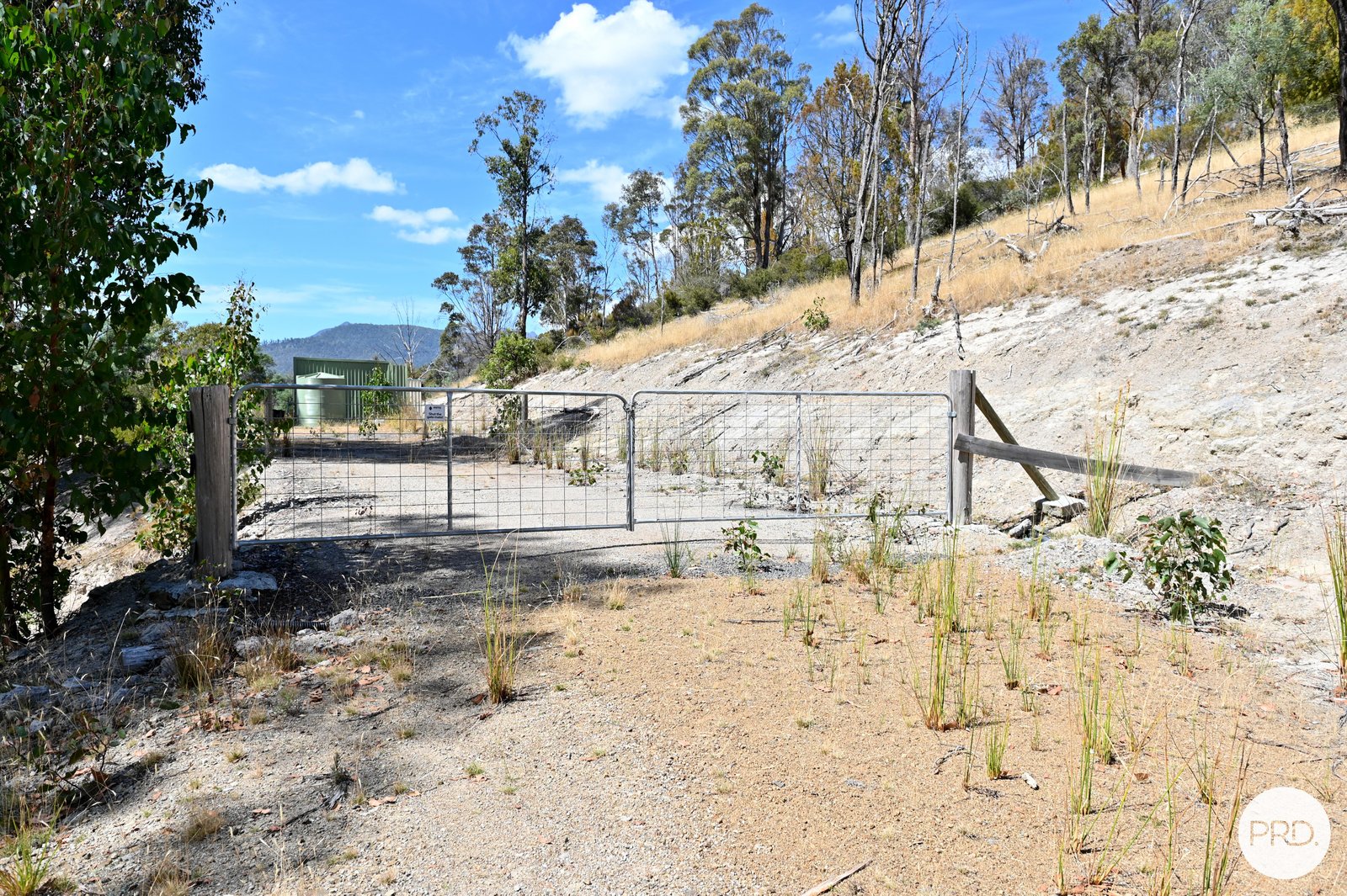 159 Millers Road LACHLAN 4