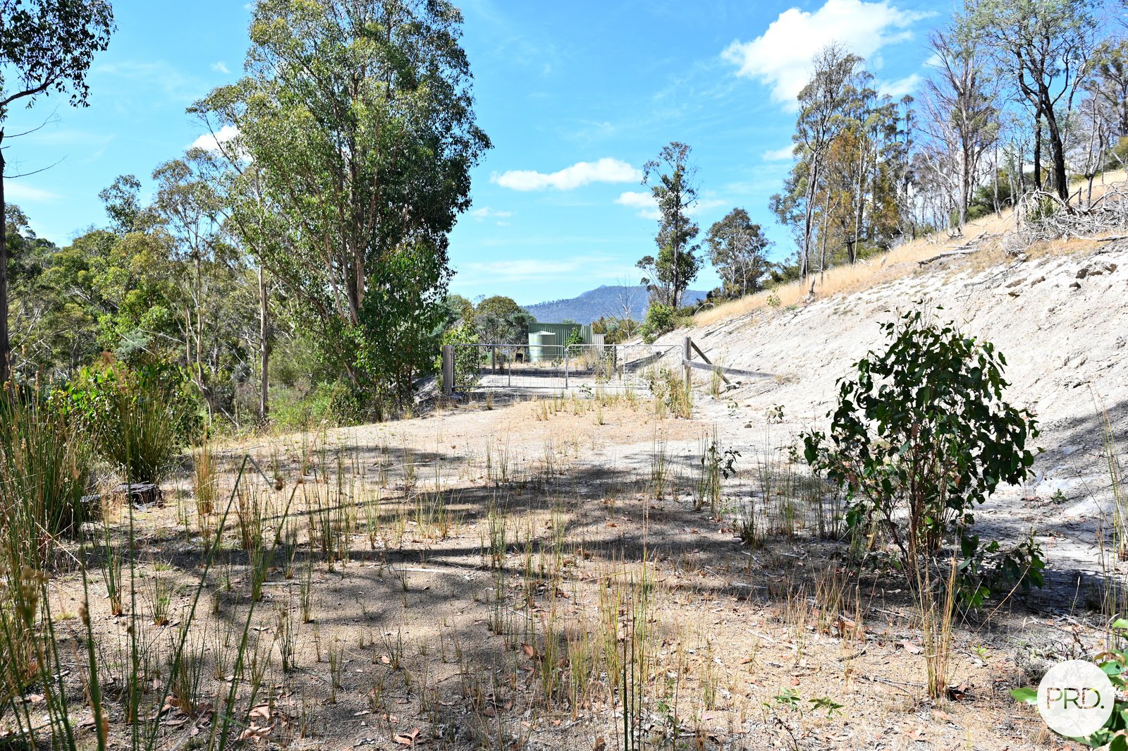 159 Millers Road LACHLAN 6