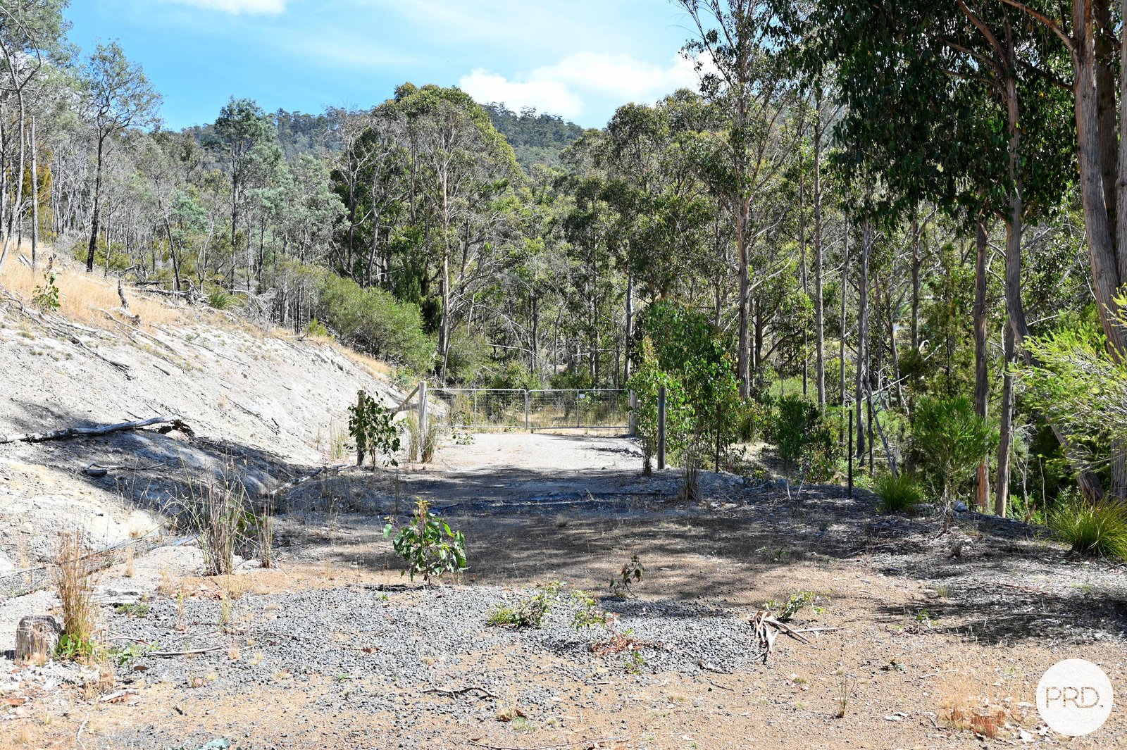 159 Millers Road LACHLAN 10