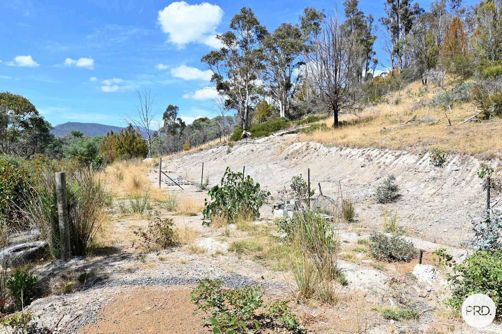 159 Millers Road LACHLAN 13