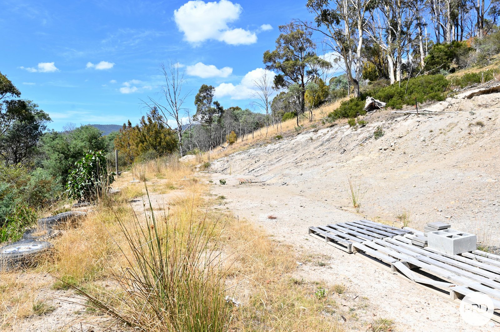 159 Millers Road LACHLAN 14