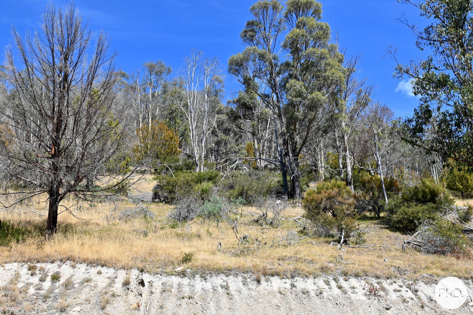 159 Millers Road LACHLAN 15