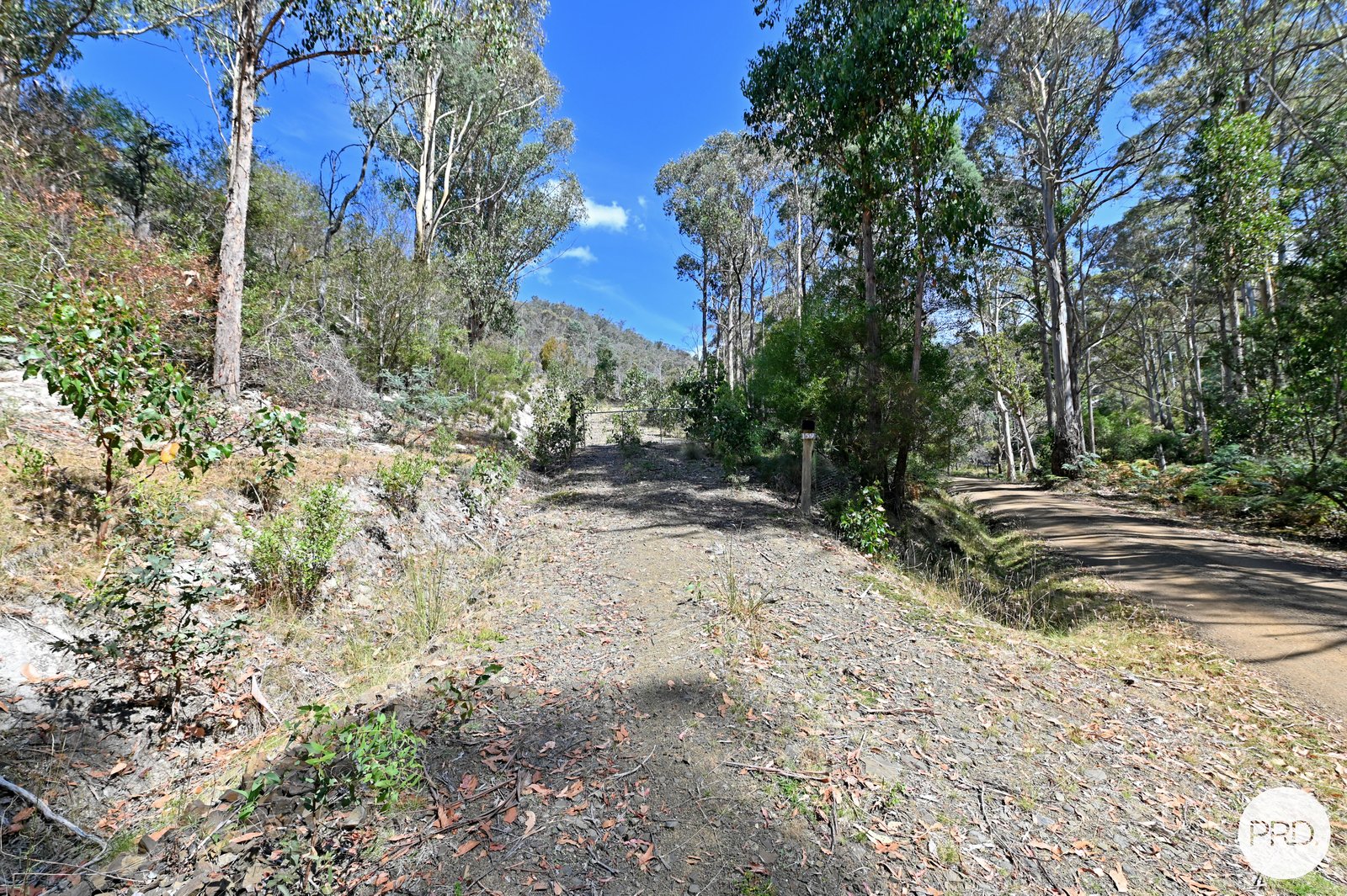 159 Millers Road LACHLAN 16