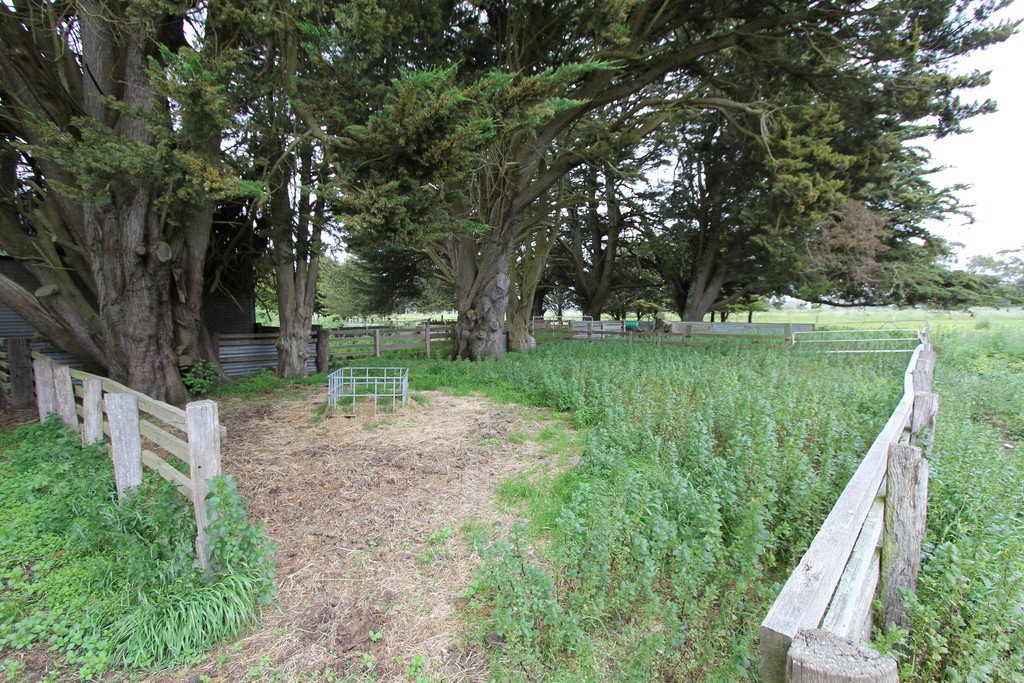 159 Spreadeagle Road MILLBROOK 16