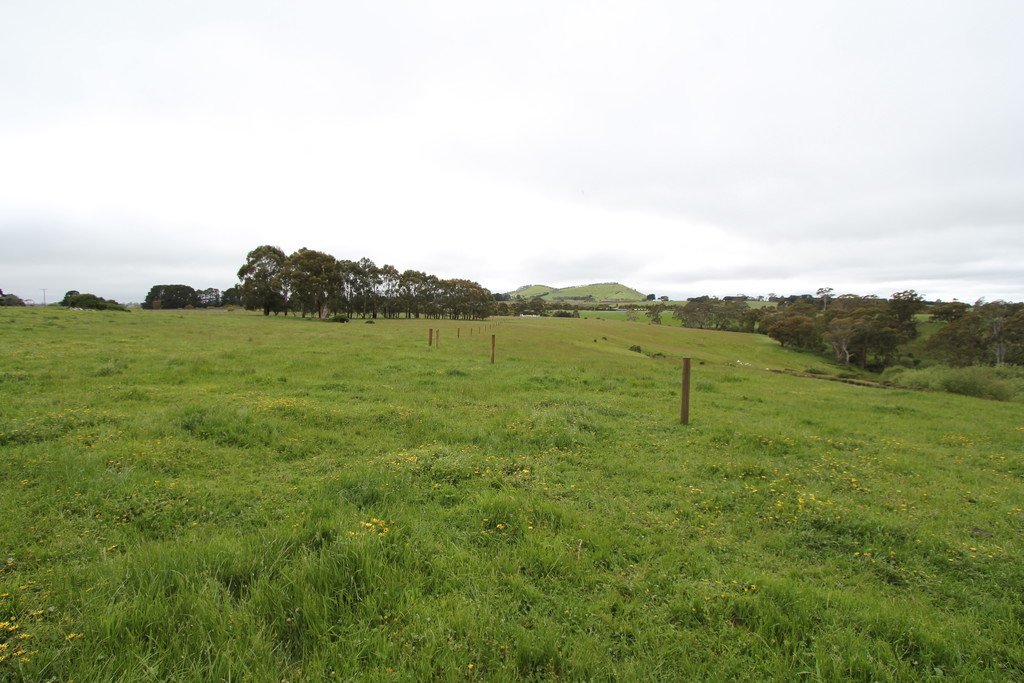 159 Spreadeagle Road MILLBROOK 19