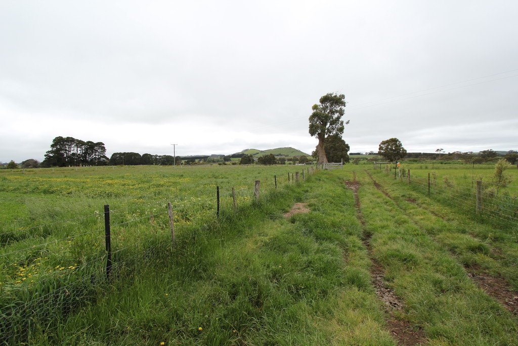 159 Spreadeagle Road MILLBROOK 21