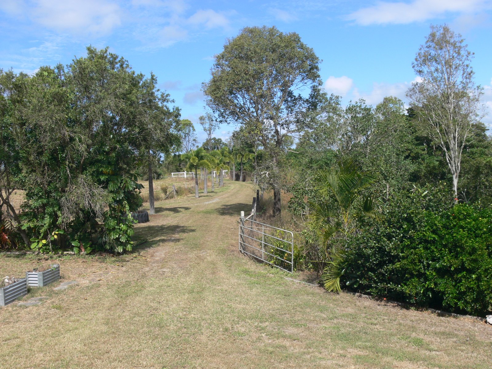 1594 Crystal Brook Road CRYSTAL BROOK 13