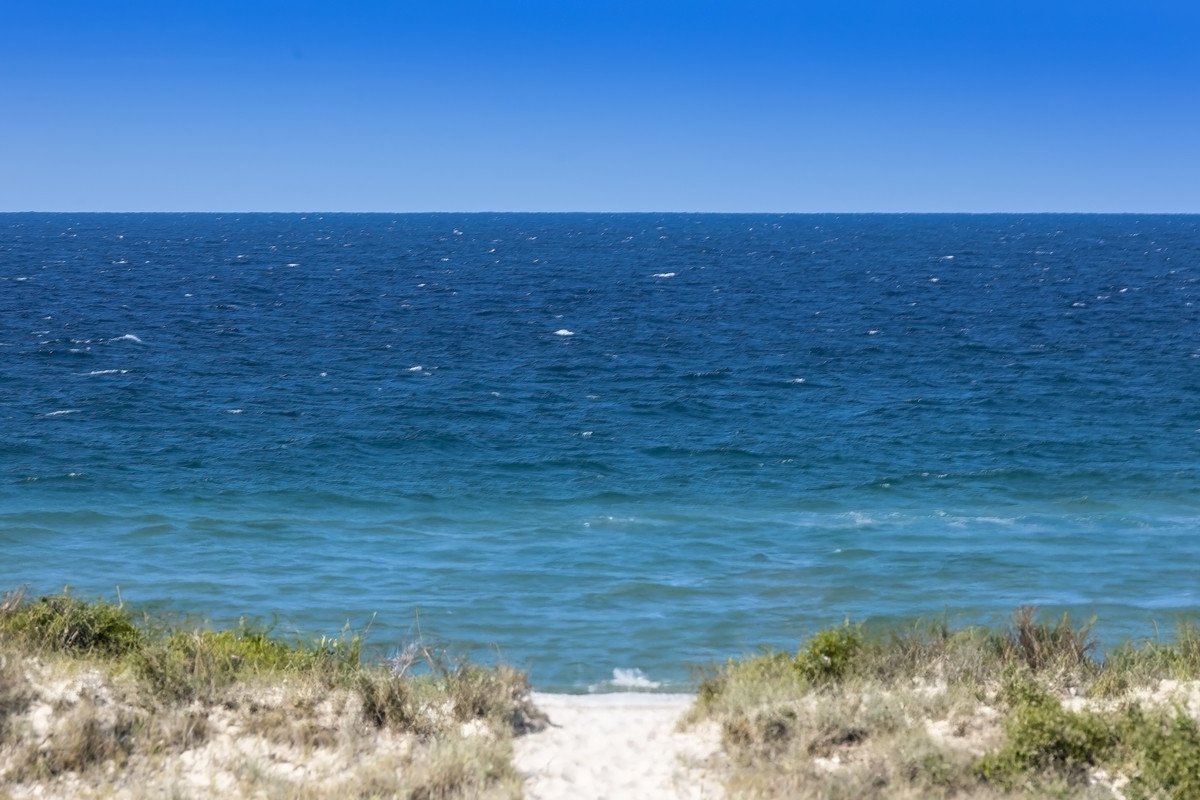 15/987 Gold Coast Highway Palm Beach 13