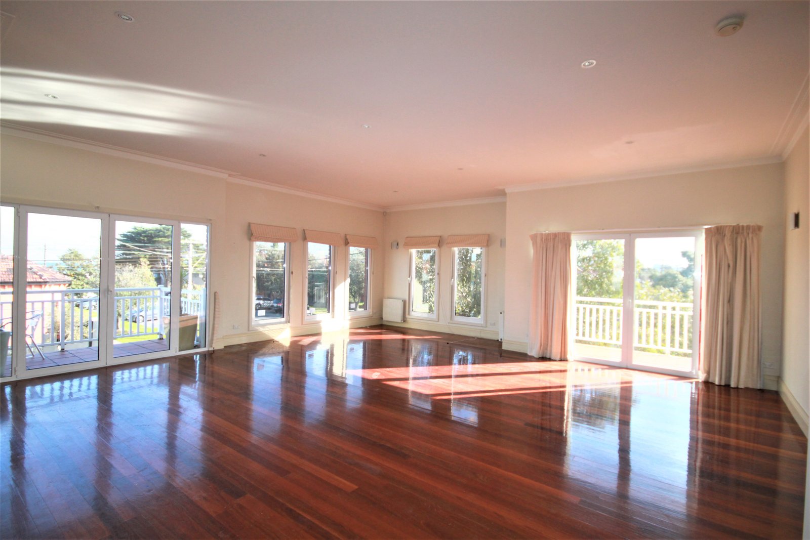 Gallery: 15A Patterson Street