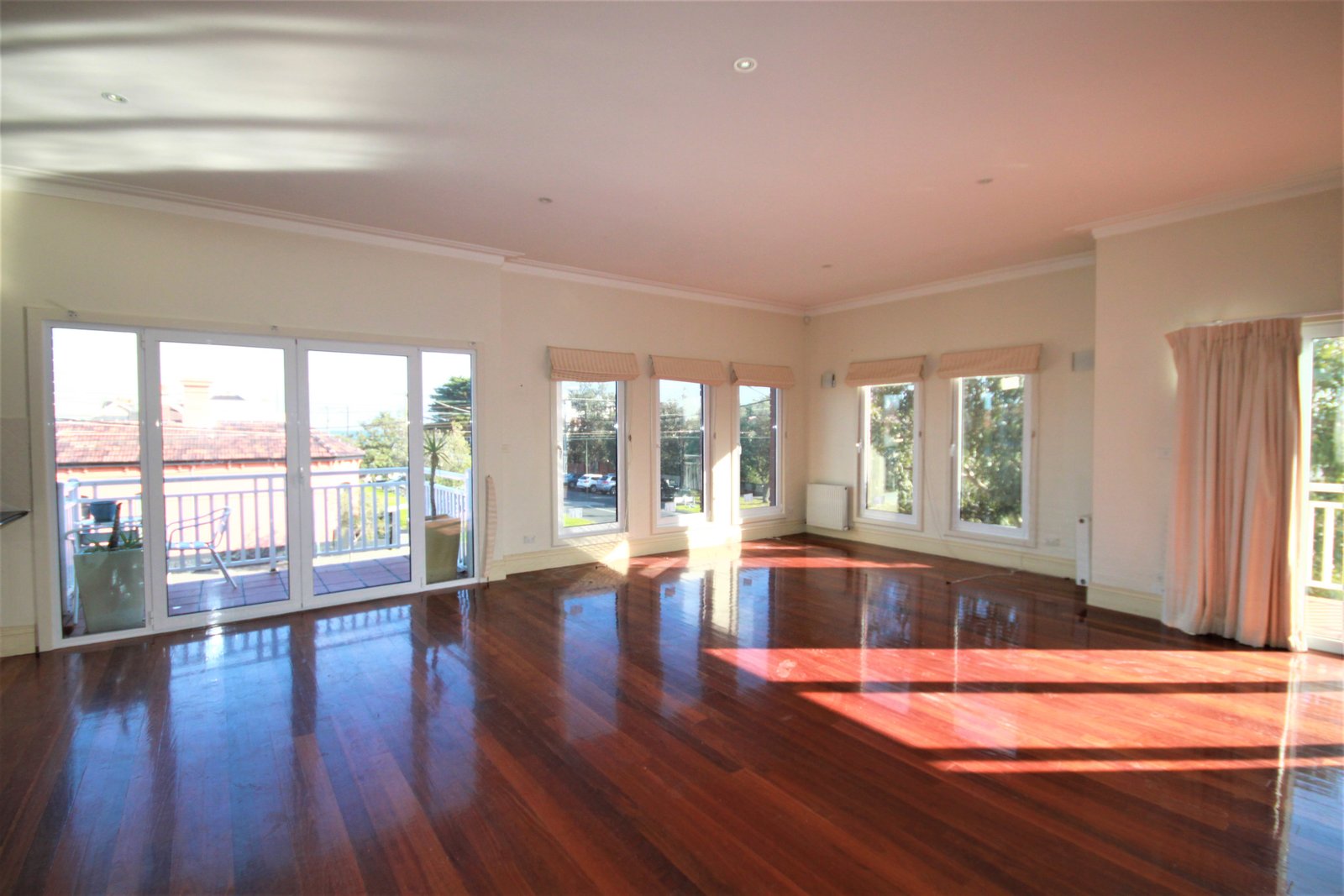 Gallery: 15A Patterson Street