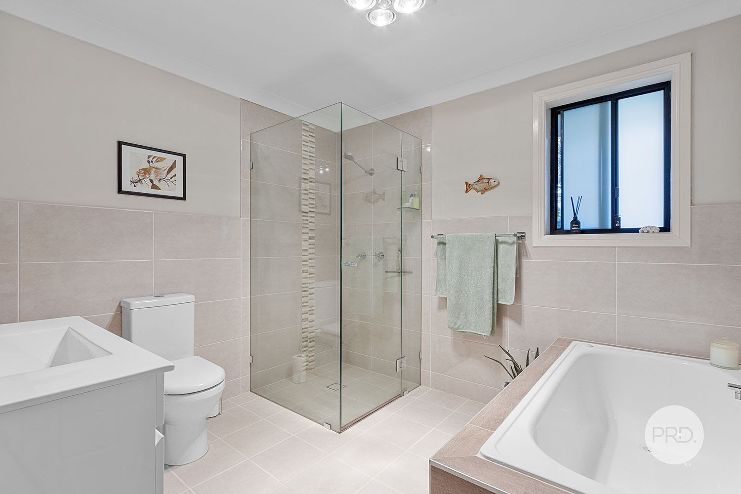 15A Webster Avenue PEAKHURST 11