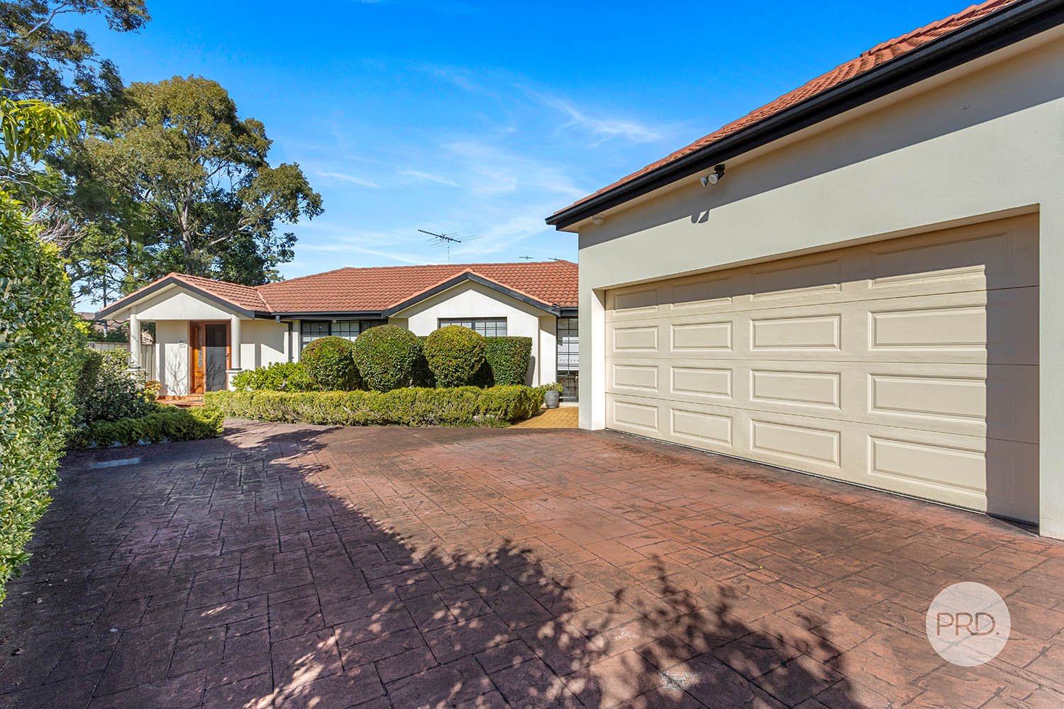 15A Webster Avenue PEAKHURST 14