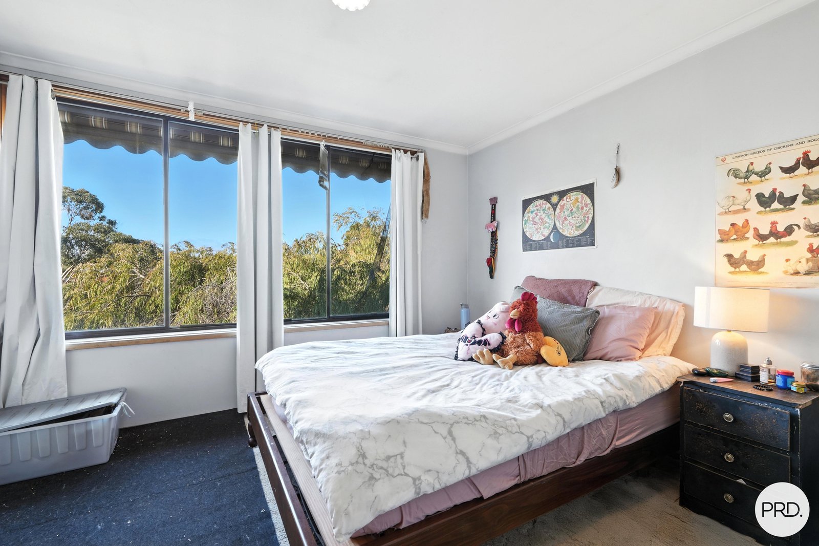16 Addison Street ROSETTA 18