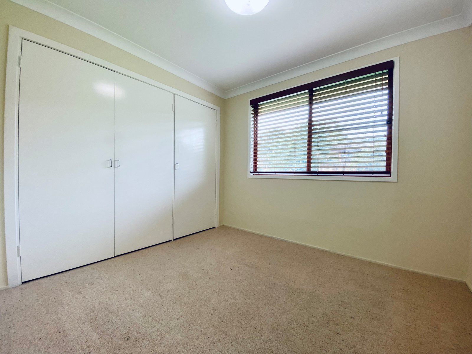 16 Alexandra Street TAMWORTH 10