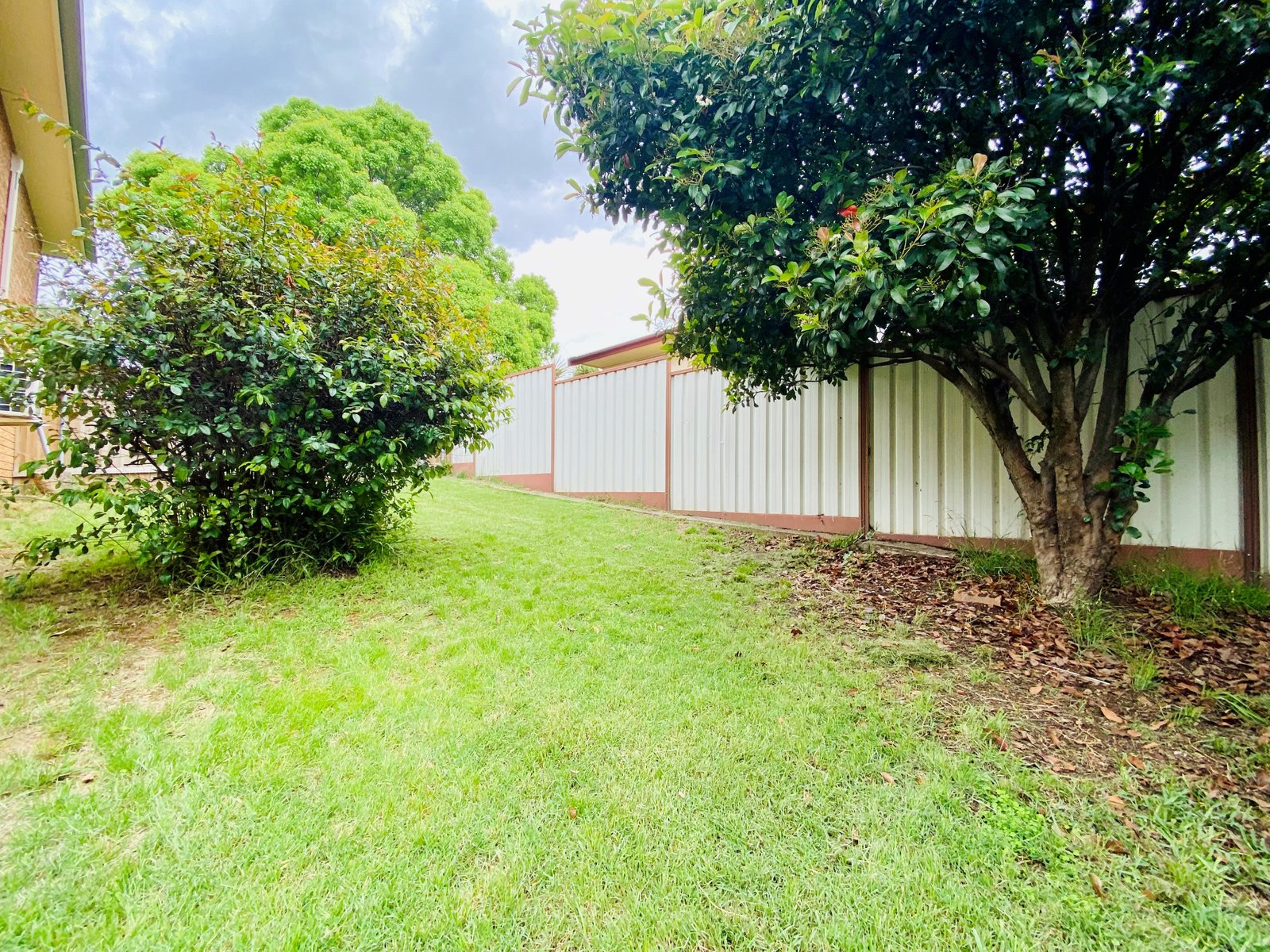 16 Alexandra Street TAMWORTH 15