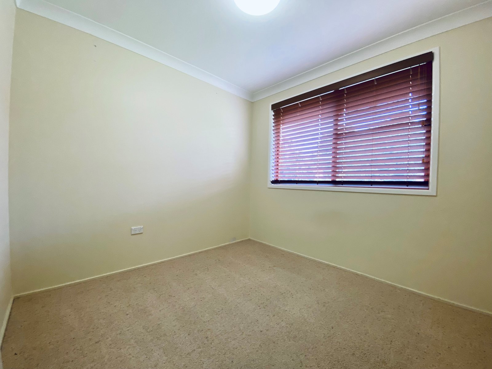 16 Alexandra Street TAMWORTH 11
