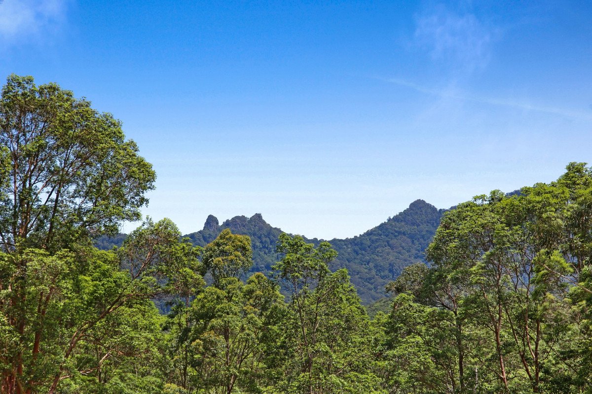 16 Araluen Road Tallebudgera Valley 5