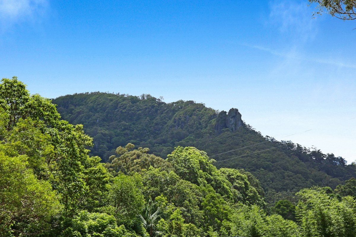 16 Araluen Road Tallebudgera Valley 20
