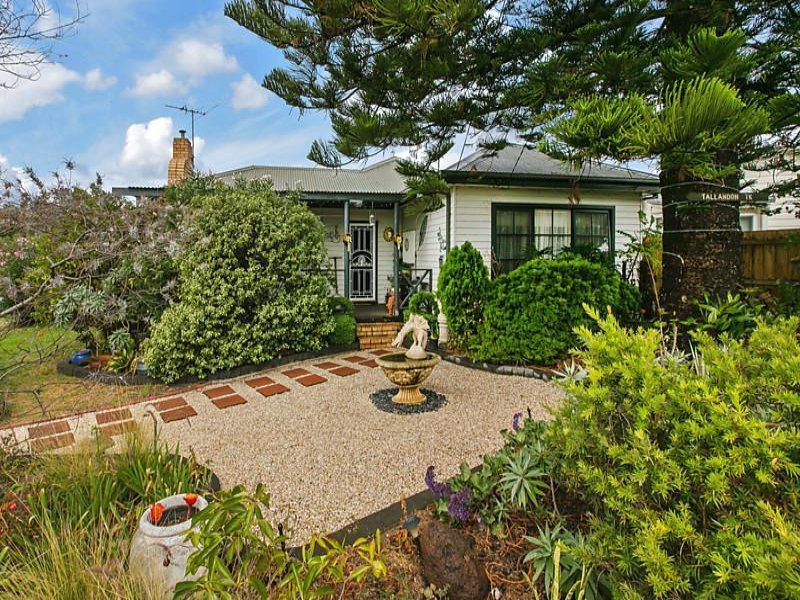 Gallery: 16 Argus Street