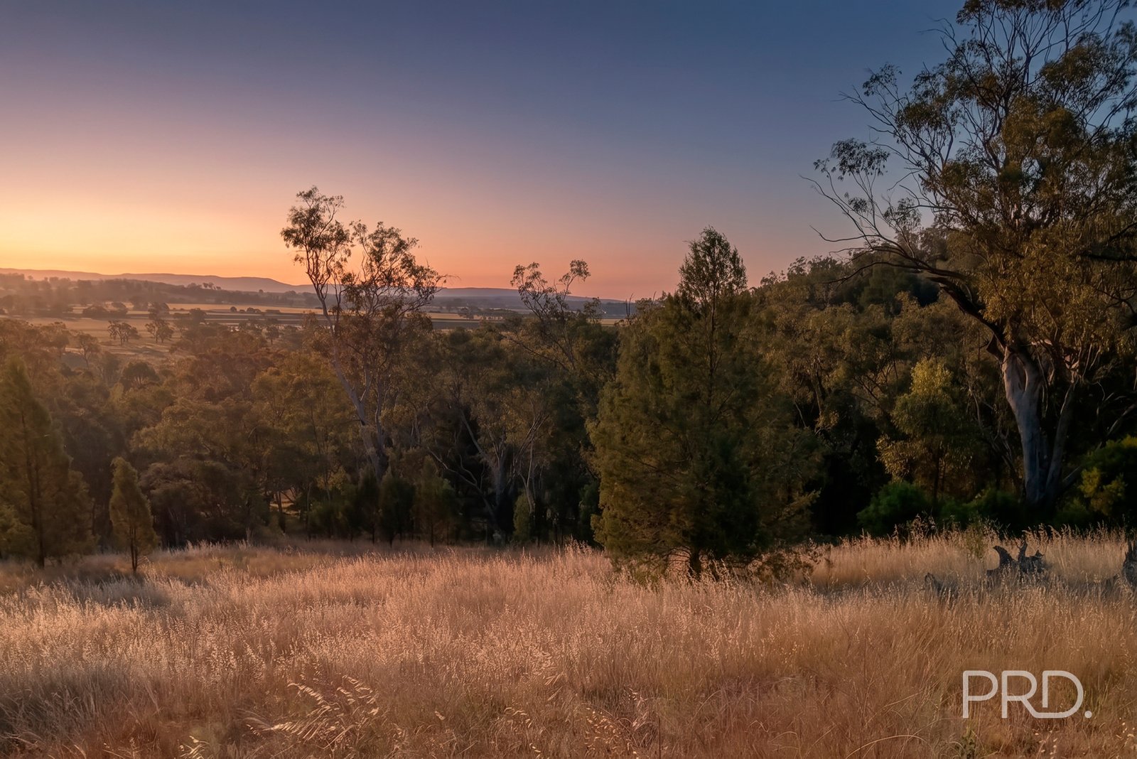 16 Bolah Ridge Road QUIRINDI 4