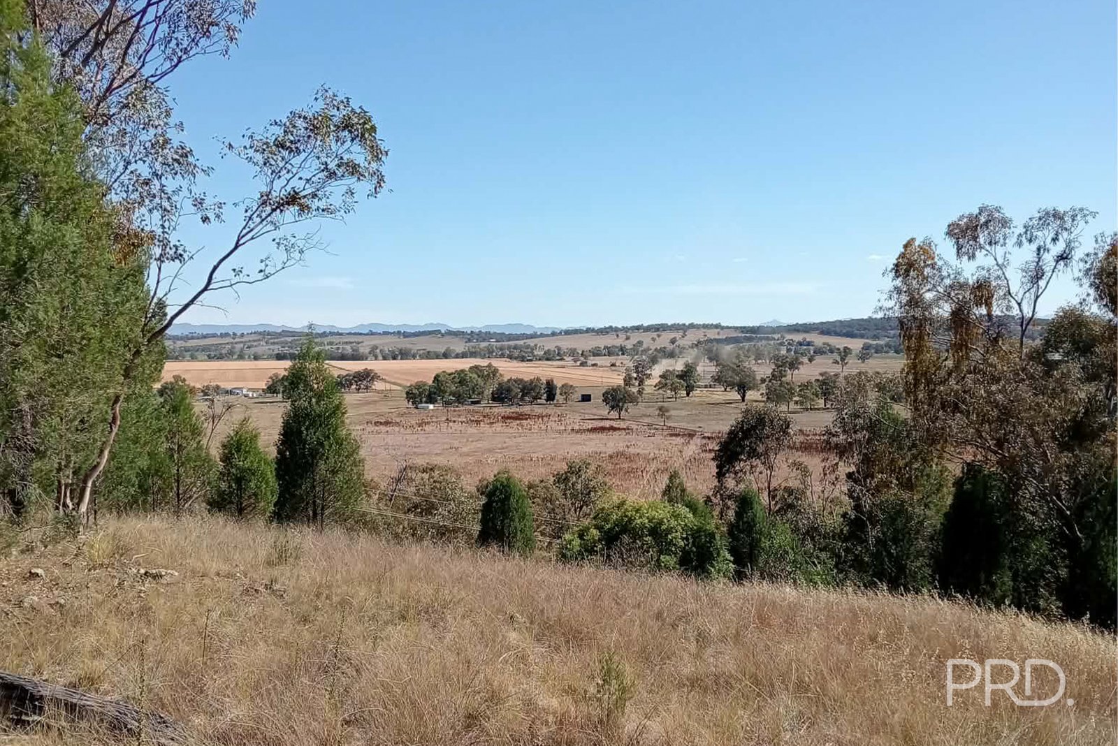 16 Bolah Ridge Road QUIRINDI 6
