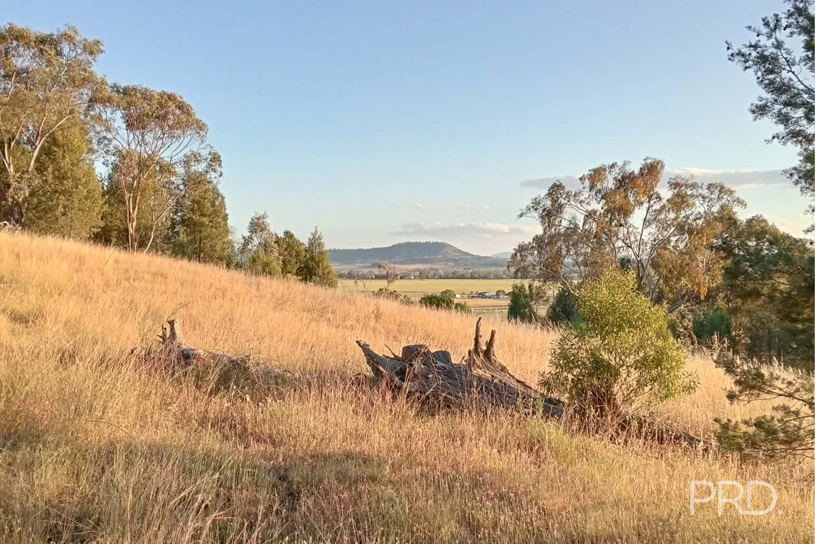 16 Bolah Ridge Road QUIRINDI 7