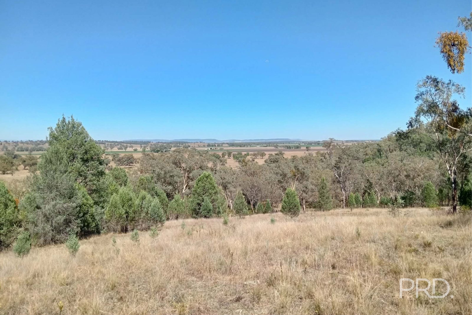 16 Bolah Ridge Road QUIRINDI 8