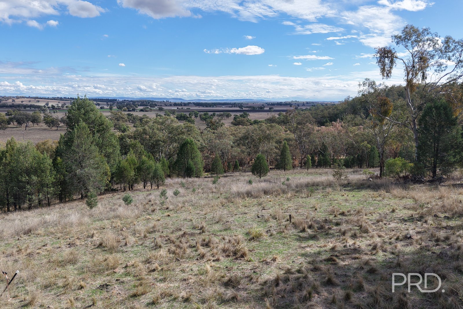 16 Bolah Ridge Road QUIRINDI 17