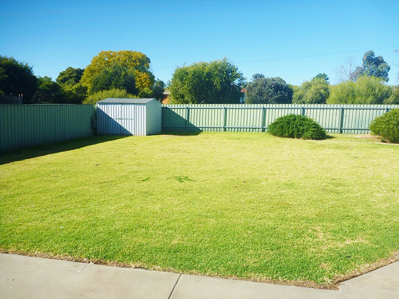 16 Boree Avenue FOREST HILL 3