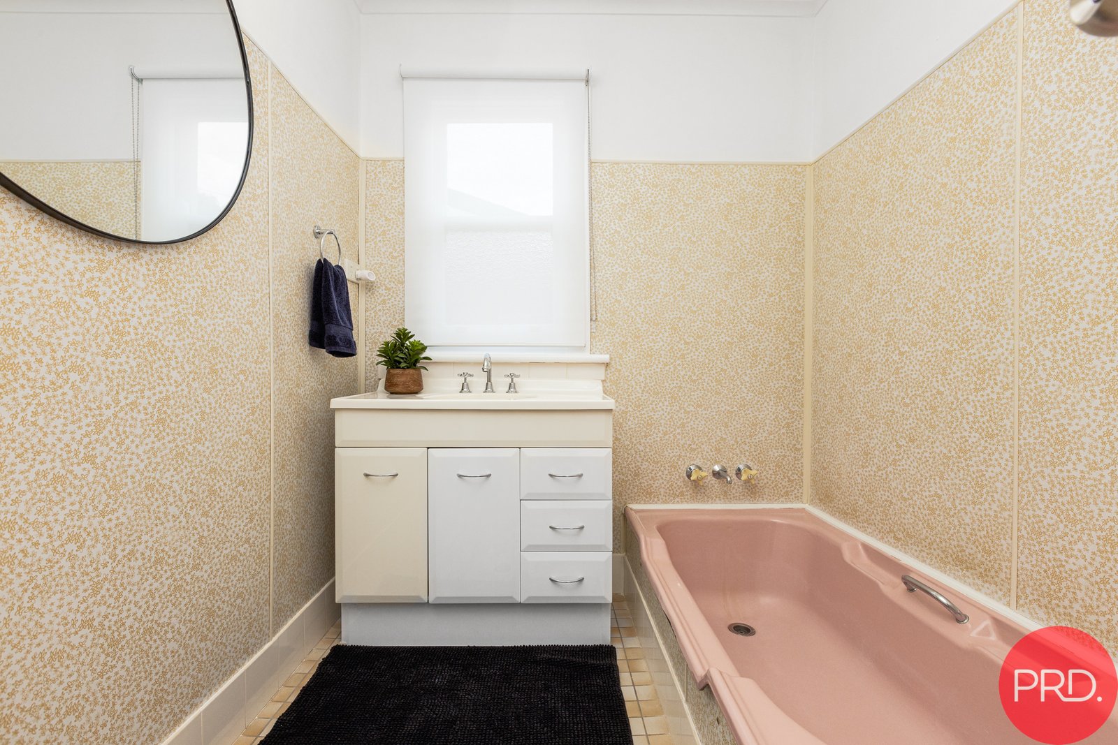 16 Branxton Street GRETA 19