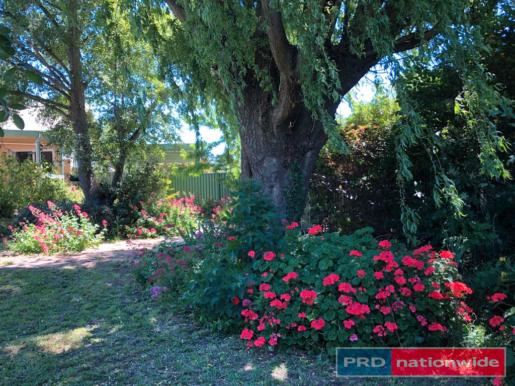 16 Cambridge Street CRESWICK 15