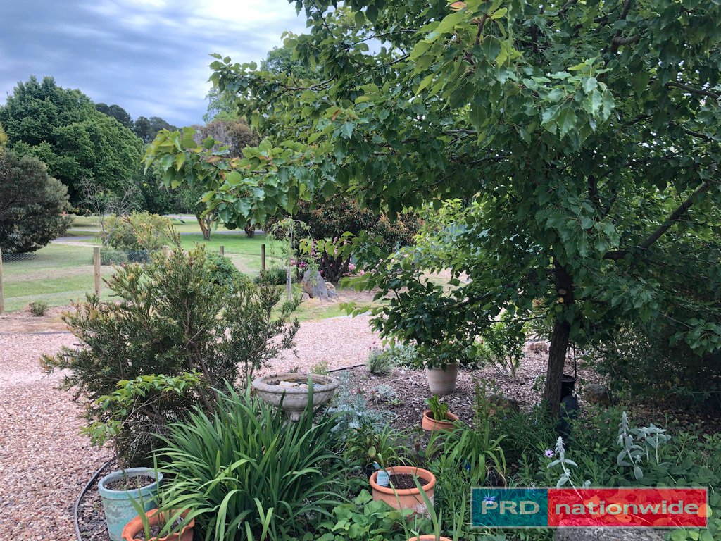 16 Cambridge Street CRESWICK 16