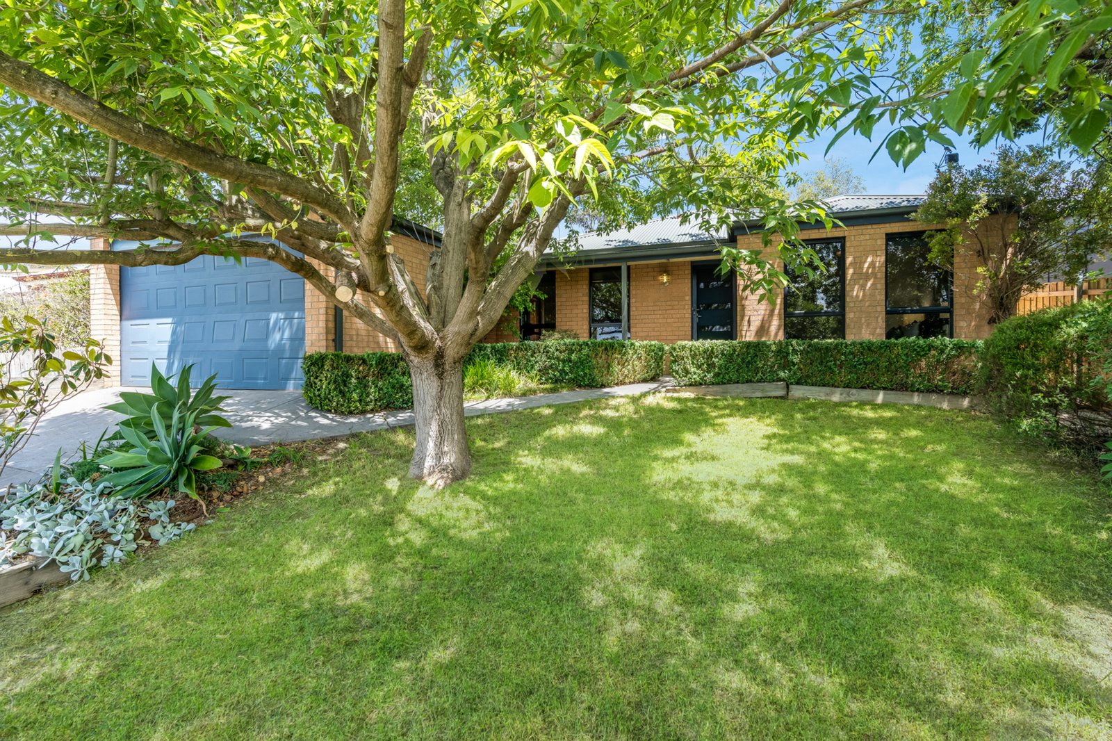 Gallery: 16 Carawatha Avenue