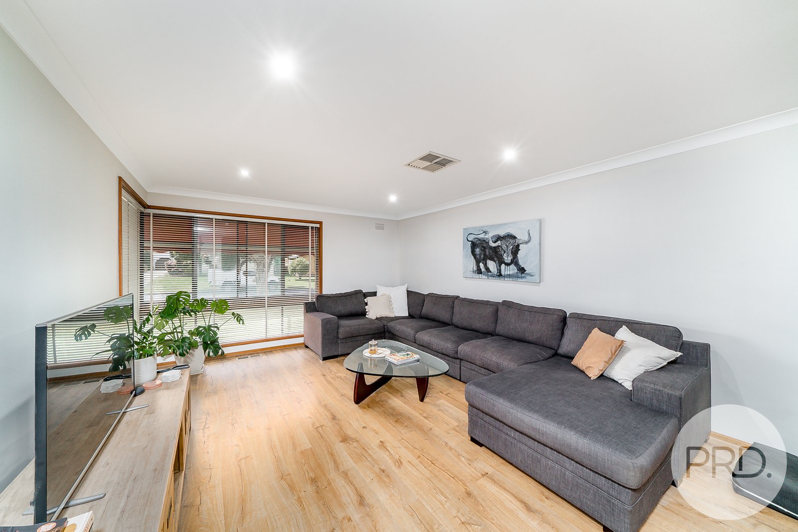 16 Carmody Street KOORINGAL 4