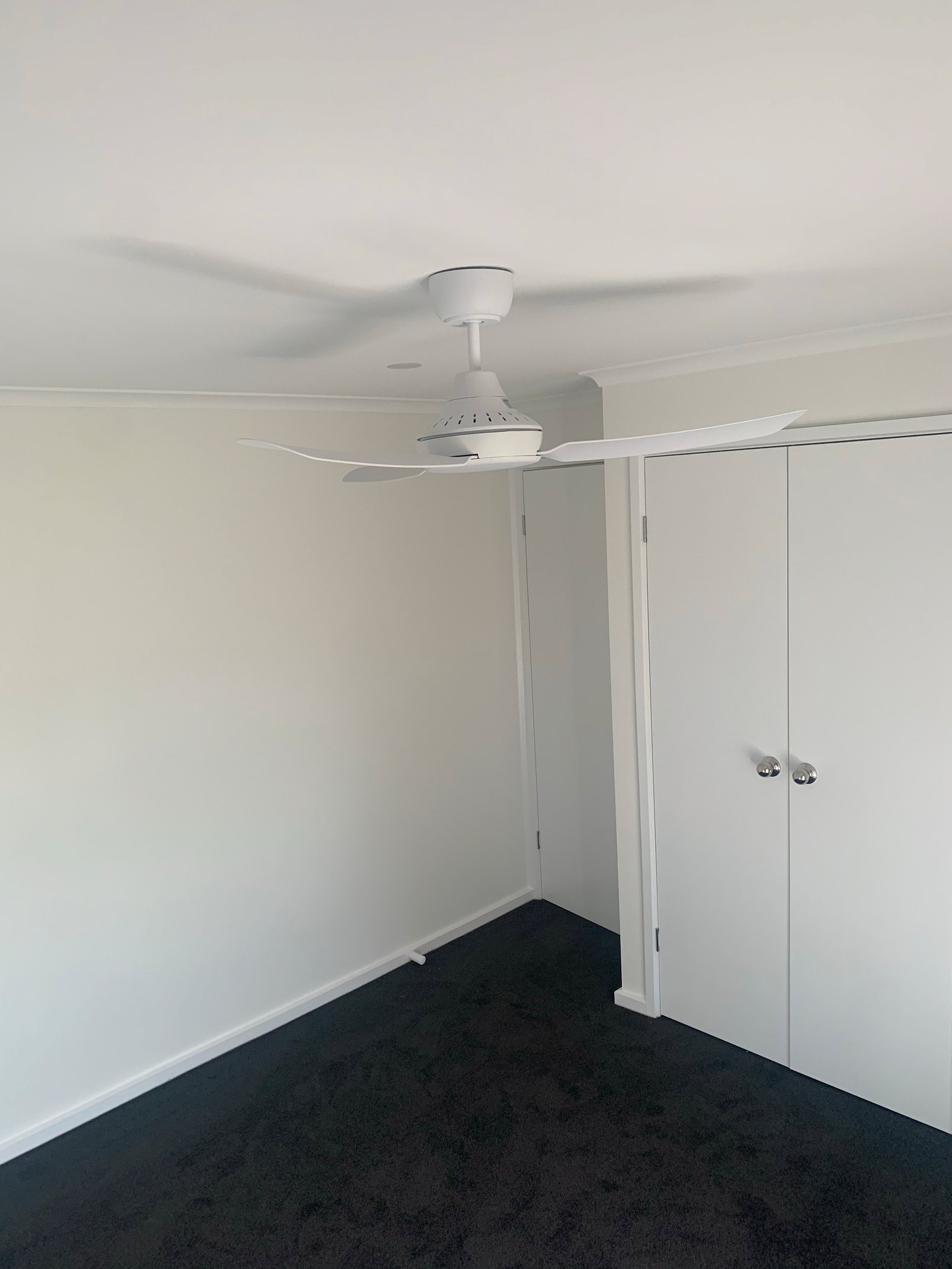 16 Dampier Avenue SHEPPARTON 4