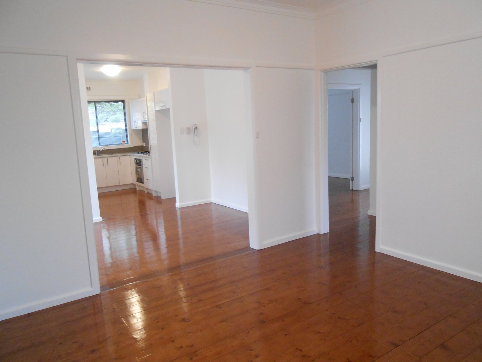 Gallery: 16 Dane Road