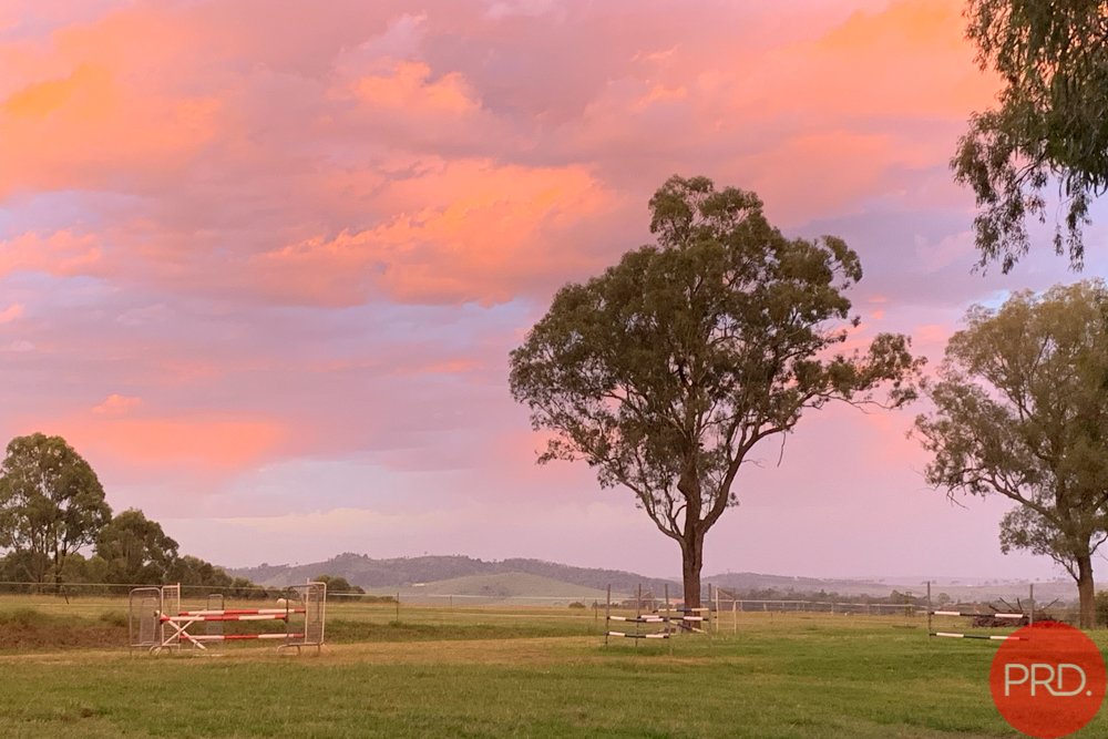 16 Denton Close WINDELLA 4