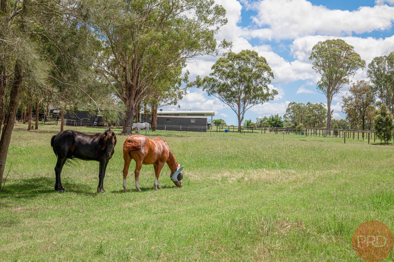 16 Denton Close WINDELLA 13